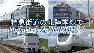 【特急街道！】北陸本線でいろいろな列車撮影！