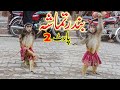 Bandar Ka Tamasha In Pakistan Bandar Ka Khel Naughty Monkey Funny Video Top Funny Comedy VG TVpk Bandar Ka Tamasha In Pakistan Bandar Ka Khel Naughty Monkey Funny Video Top Funny Comedy VG TVpk