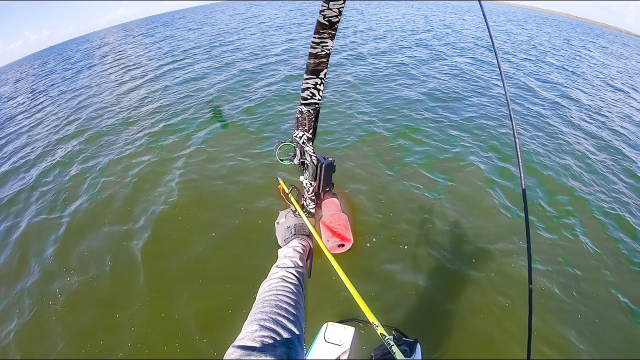 BOW FISHING saltwater fish to eat black drum stingrays YouTube