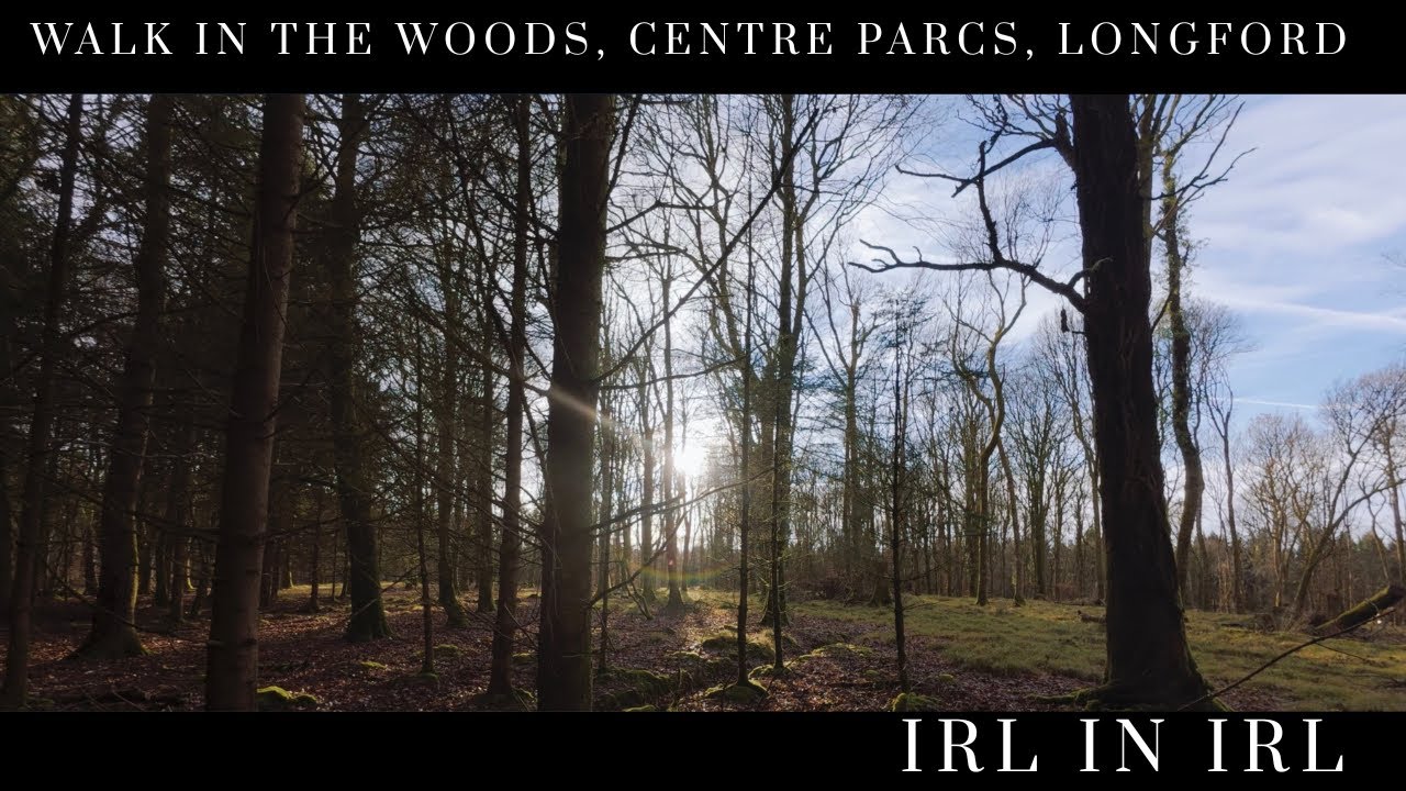 A Relaxing Forest Walk in Center Parcs Longford | 4K Virtual Hike