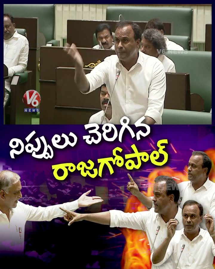 MLA Rajagopal Hits Out Harish Rao | V6 News