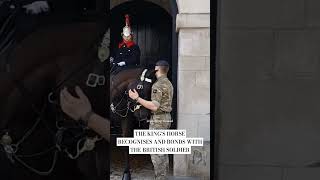 THE KING'S HORSE RECOGNISES AND BONDS WITH THE BRITISH SOLDIER #horse #london #horseguards #viral