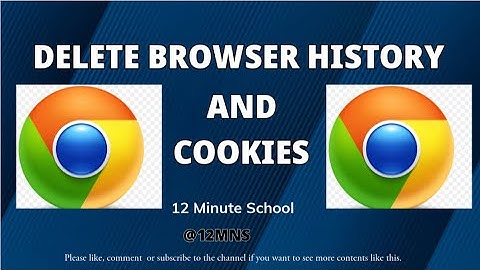 Browser History | How to Delete Browser History and Cookies on Google Chrome