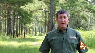 How the Landscape Impacts Your Deer Hunting
