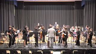Spring Concert 2024 | Mr. Concessi ~ Orchestra, Grade 7-8
