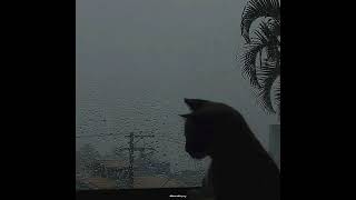 {FREE} PLUG x Yunk Vino x Ryu, the Runner Type Beat ~ depressed ~ | Prod. Kankiry@Kankiry-Beats