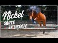 Séance - NICKEL JUMP ET EN LIBERTÉ EN PLUS ! ⭐