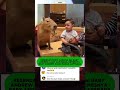 KESERUAN ERIKA CARLINA dan BABY ANDREW LIHAT CAPYBARA, GEMESNYA BABY ANDREW KASIH MAKAN CAPYBARA