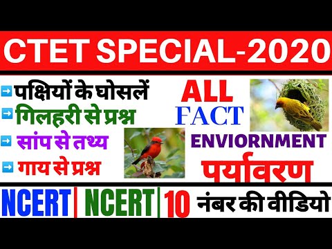 CTET SPECIAL 2020 #ENVIORNMENT CTET पर्यावरण पक्षियों के घोंसलें , सांप ,गिलहरी ,चूहा CTET FACT