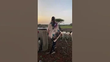 Waa Gabdhihii 100 Halaad Iyo Baarqabka Laga Bixin Jiray Duet Gugugill Funny Love 