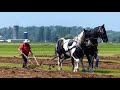 Lynden plowing videos 2017