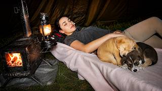 Solo Camping in a Small Hot Tent with My Dogs | A Night We Won’t Forget