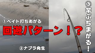 #ブリ ジギング鰤（ブリ）必勝パターンかも⁉