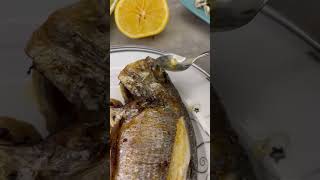 Sizce Ciyo Ağzındakini Yedimi Yoksa Tükürdümü?