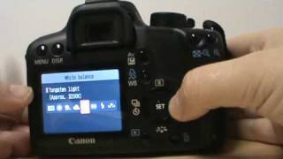 Différence entre Canon EOS 1000D et Nikon D60