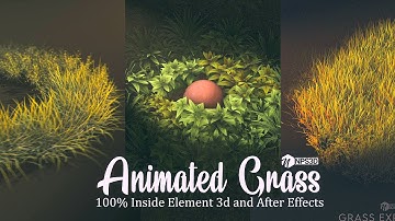 Animated Grass 100% Inside Element 3D | Full Tutorial | After effects| Nps3D | 2020