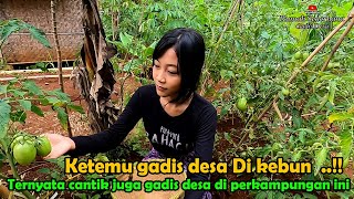 KETEMU GADIS DESA DI KEBUN SENDIRIAN..!! Gak nyangka ternyata gadis desi di kampungan ini Cantik Uy