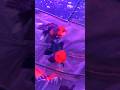 Black Goldfish vs Red Goldfish Which Makes a BETTER Pet?