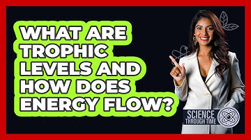 What Are Trophic Levels And How Does Energy Flow? - Science Through Time