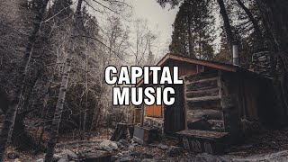 AnalogueCabin (Copyright Free Music)