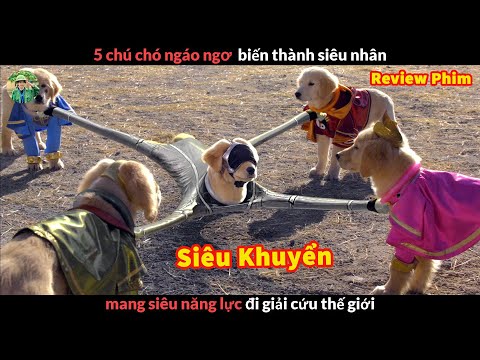 Video: Puppy Thieves Ăn cắp Pooch Đối với các Unlikeliest Of lý do