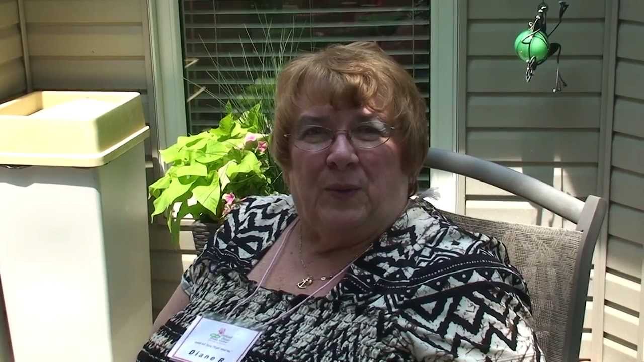 DPCI - Testimony Diane Rabideau - YouTube