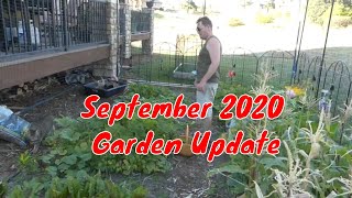 Victory Garden September update 2020 by Caleb Block 54 views 3 years ago 5 minutes, 32 seconds