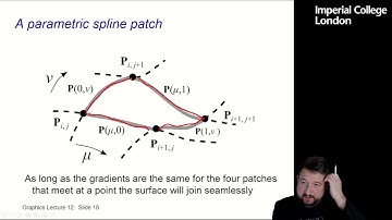 13 Spline Surfaces