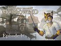 Lets play narratif morrowind  pisode 1  bienvenue  seyda nihyn