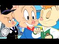 Looney Tunes in italiano | Il Meglio di Porky Pig | WB Kids