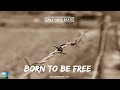 Born to be free riddim  reggae beat instrumental 2022  only vibes beats