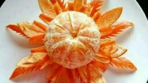 Bird Net Service Provice