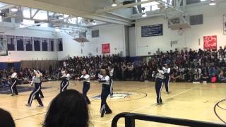 NHP Step Team- Spring Pep Rally 2015