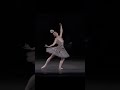 Delightful Skylar Brandt ABT Ratmansky Harlequinade #ballerina #shorts