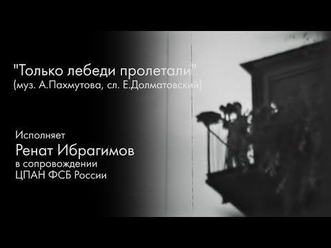 Только лебеди пролетали / 2011 год
