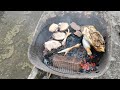 Street Food: Chicken and Grilled Meat on a Cart