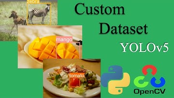 YOLOv5  - Training Yolov5 (object detection model) on a custom dataset using openCV and Python