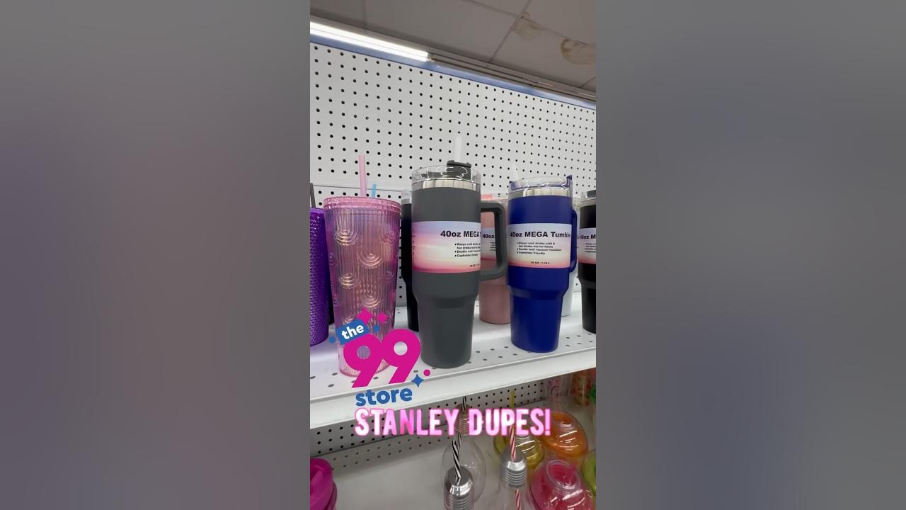 Shoppers race to Home Bargains for a £4.99 Stanley cup dupe - it comes in  two colours & makes a perfect Christmas gift