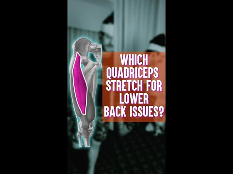 Video: Vai vastus medialis quadriceps?