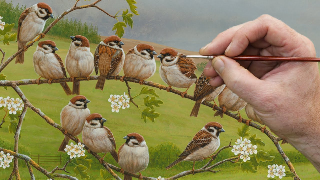 Play: Robert E. Fuller Paints Tree Sparrows: a near-silent wildlife art escape