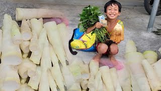 Go to the forest to find bamboo shoots, pick forest vegetables and sell them for money to buy food.