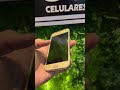 Samsung Galaxy J5 Pro Gold