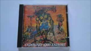Watch Viogression Transmigration video