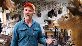 HOW TO CLEAN A DEER MOUNT