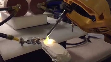 Plasma Vorticity and Behavior Slow Motion