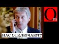 "Нас отключают от Swift, доллары выбрасываем, переходим на бересту и мох" - в Кремле переполох