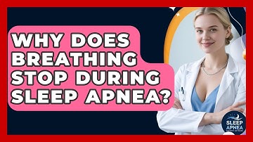 Why Does Breathing Stop During Sleep Apnea? - Sleep Apnea Support Network