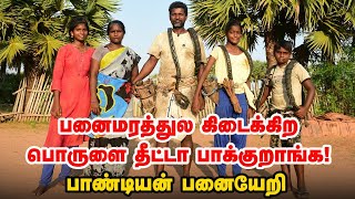 Palm Tree Climber | எல்லாம் கைவிட்ட நேரத்துல பனைதான் என்னைக் காப்பாத்துச்சு! - பாண்டியன் பனையேறி