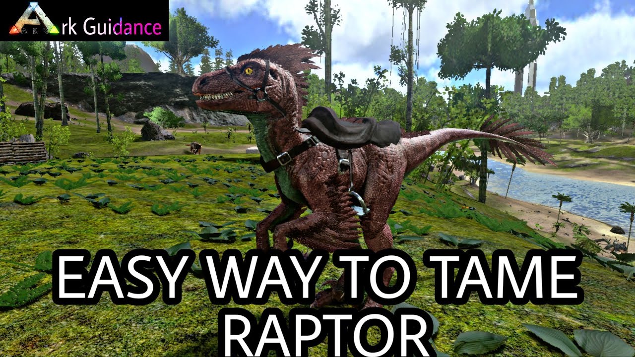Taming Raptors HOW TO TAME RAPTOR EASILY (ARK MOBILE) - YouTube