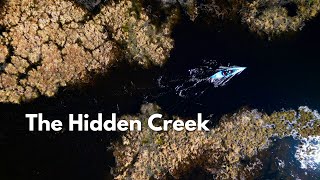 Spring kayaking on flooded creek |  Testing the Hobie Endeavor 12.5